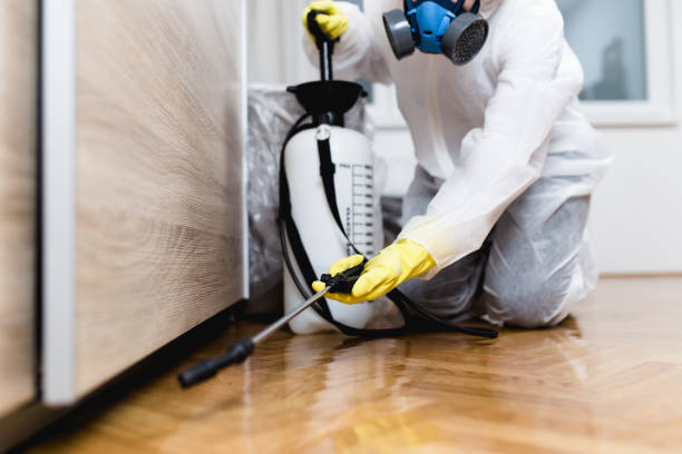 Best Pest Control Near Me in Cambria, CA