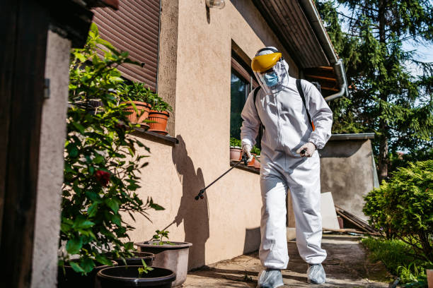Best Emergency Pest Control  in Mbria, CA