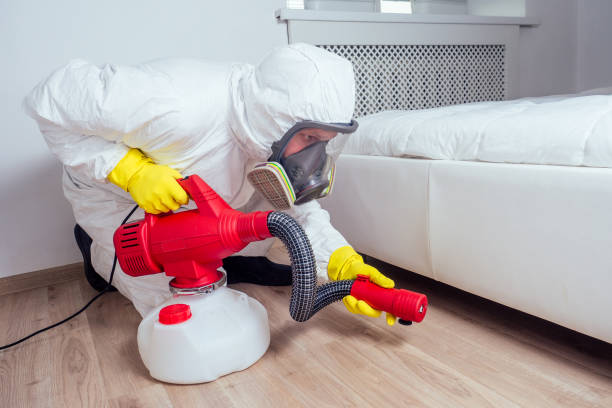 Best Flea Control Services  in Mbria, CA