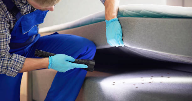 Best Exterminator Services  in Mbria, CA