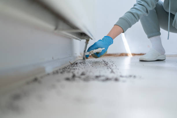 Best Best Pest Control Companies  in Mbria, CA